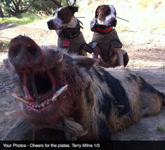 Screen Shot 2013-10-02 at 1.33.38 PM